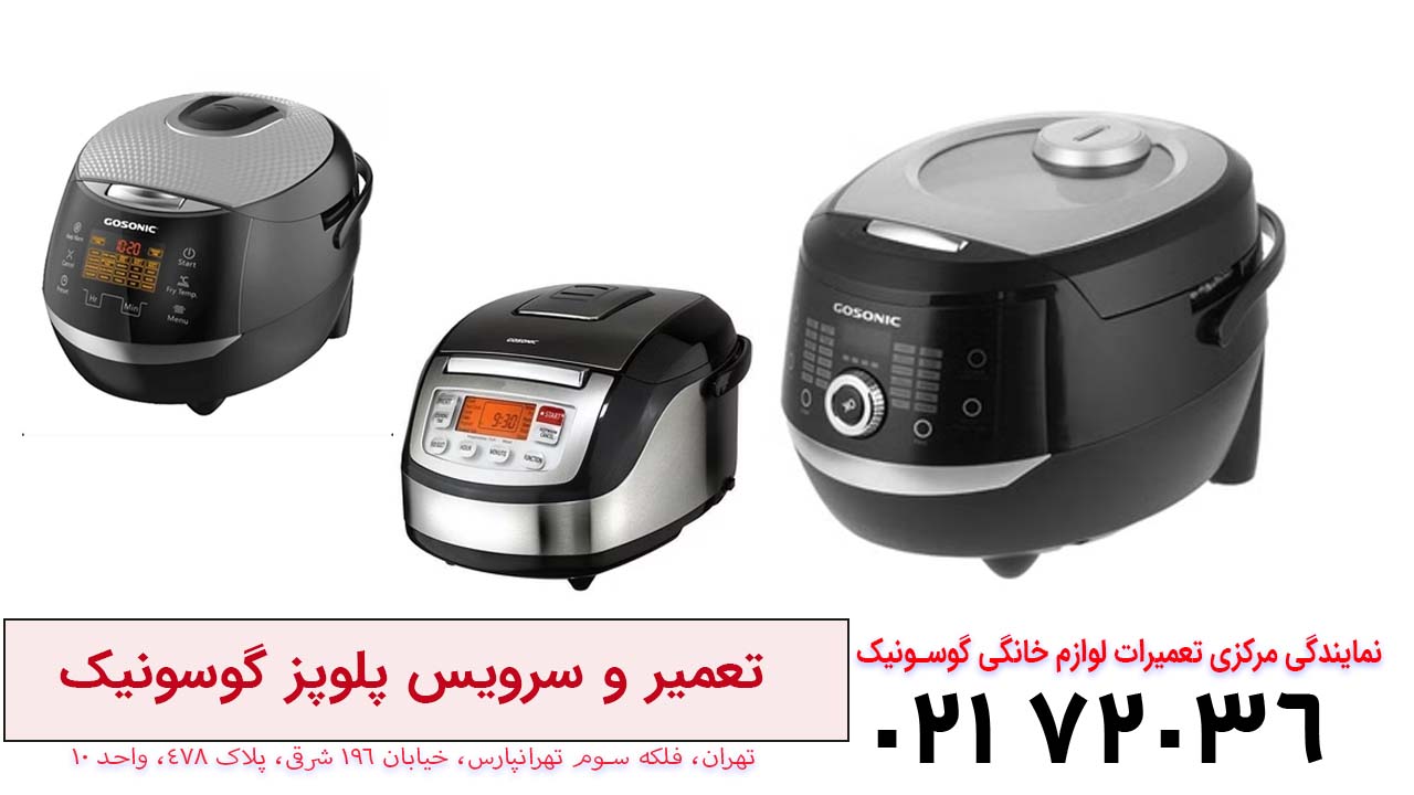 تعمیر پلو پز گوسونیک