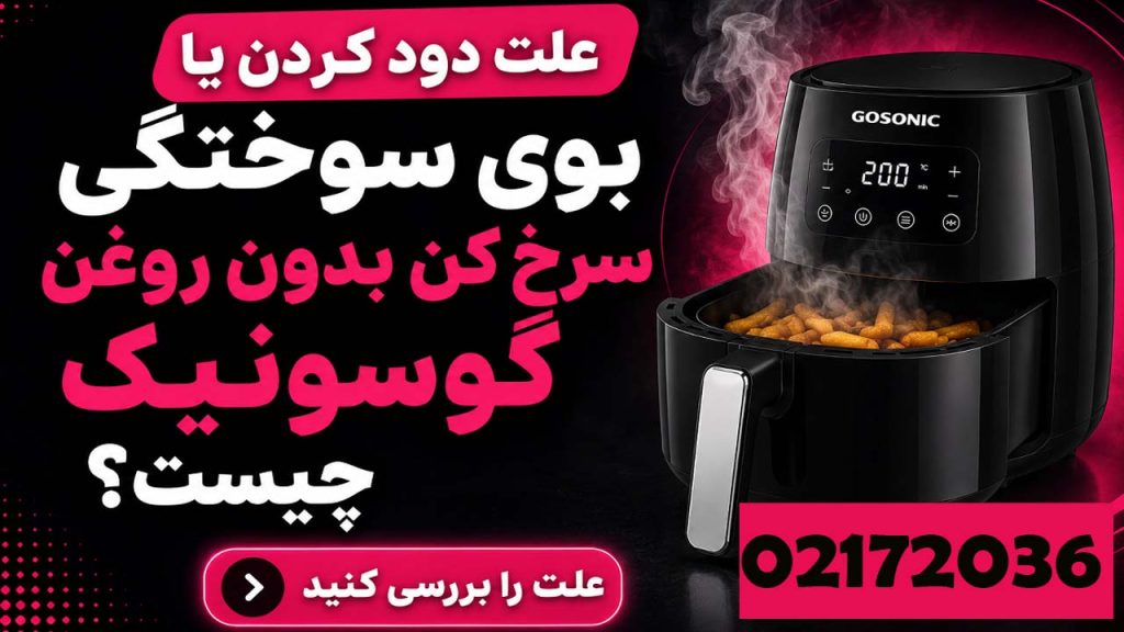 علت دود کردن سرخ کن گوسونیک